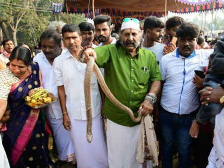 ಮೈಸೂರಿನ ಸುಬ್ರಹ್ಮಣ್ಯ ಷಷ್ಠಿ ಜಾತ್ರೆಯಲ್ಲಿ ಹಾವನ್ನು ರಕ್ಷಿಸಿದ ಸ್ನೇಕ್ ಶ್ಯಾಂ