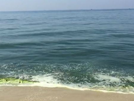 ಕರಾವಳಿ ಭಾಗದಲ್ಲಿ ಸಮುದ್ರದ ನೀರು ಹಸಿರು ಬಣ್ಣಕ್ಕೆ ತಿರುಗಿರಲು ಕಾರಣ ಇದೇ!