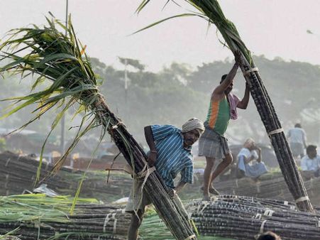 ಸಂಭ್ರಮದ ಸುಗ್ಗಿ ಸಂಕ್ರಾಂತಿ: ಆಚರಣೆ ಹೇಗೆ?