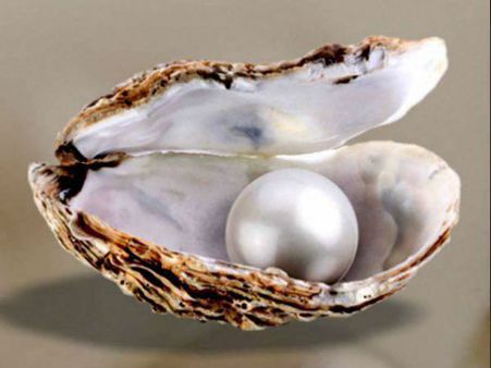 ಫಳಫಳ ಹೊಳೆಯುವ ಮುತ್ತಿಗೂ ಹೈದರಾಬಾದಿಗೂ ಎಲ್ಲಿಯ ಸಂಬಂಧ?