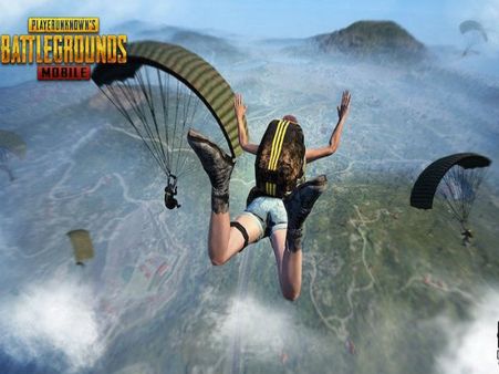 PUBG ಮೊಬೈಲ್ ಗೇಮ್ ನಿಷೇಧಕ್ಕೆ 11ರ ಬಾಲಕನಿಂದ PIL