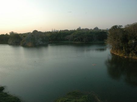 ವಲಸೆ ಹಕ್ಕಿಗಳು ಹೋಗುವವರೆಗೆ ಕುಕ್ಕರಹಳ್ಳಿ ಕೆರೆಯಲ್ಲಿ ಮೀನುಗಾರಿಕೆ ನಡೆಸಬೇಡಿ:ಆಕ್ಷೇಪ