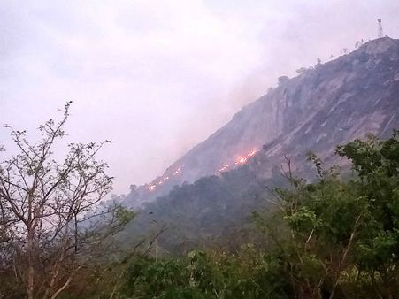 ಹೊತ್ತಿ ಉರಿದ ನಂದಿ ಬೆಟ್ಟ, 80 ಎಕರೆ ಅರಣ್ಯ ನಾಶ