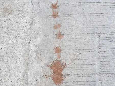 ಇಲ್ಲಿ ಇದೇ ಮೊದಲು ಪಾನ್ ಜಗಿದು ಉಗಿದಿದ್ದಕ್ಕೆ ದಂಡ!