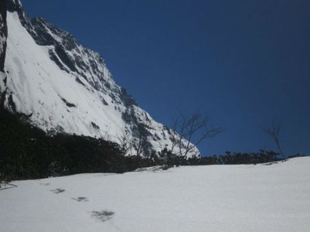 ನೇಪಾಳ ಗಡಿಯಲ್ಲಿ 'ಯೇತಿ' ನಿಗೂಢ ಹೆಜ್ಜೆ ಗುರುತು ಪತ್ತೆ