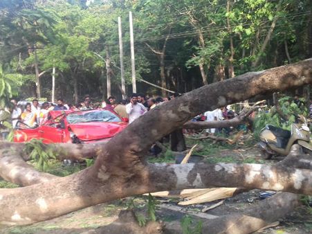 ಚಲಿಸುತ್ತಿದ್ದ ಕಾರಿನ ಮೇಲೆ ಉರುಳಿ ಬಿದ್ದ ಮರ:ಇಬ್ಬರು ಸಾವು