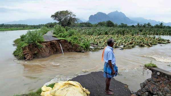 ಸೈಕ್ಲೋನ್ ಫೋನಿಯಿಂದ ಒಡಿಶಾಕ್ಕೆ ಆದ ನಷ್ಟವೆಷ್ಟು?