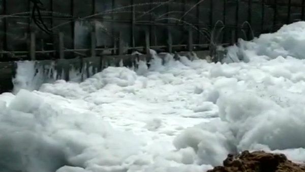 ರಾಜ್ಯವು ಬೆಂಗಳೂರು ಕೆರೆಗಳನ್ನು ರಕ್ಷಣೆ ಮಾಡದಿದ್ದರೆ ಕೇಂದ್ರ ಮಾಡುತ್ತೆ : ರಾಜೀವ್ ಚಂದ್ರಶೇಖರ್