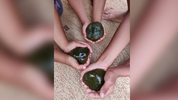 ಬಾಲ್ಯದ ನೆನಪು: ಸಂಕದ ಪಕ್ಕ ಸಿಕ್ಕ ಬಳ್ಳಿಯಿಂದ ಮಕ್ಕಳ ಸ್ಲಾಯ್ಮ್ ಆಟ