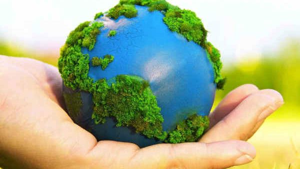 ವಿಶ್ವ ಪರಿಸರ ದಿನ ಇಂದು: ವಿಶ್ವಸಂಸ್ಥೆ ಘೋಷ ವಾಕ್ಯ ಏನು?