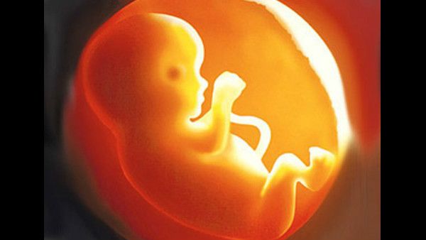 ನೋಯ್ಡಾದ ಚರಂಡಿಯ ಸಮೀಪ ಐದು ತಿಂಗಳ ಹೆಣ್ಣು ಭ್ರೂಣ ಪತ್ತೆ
