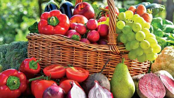 ಮೆದುಳು ಜ್ವರ, ಬಿಹಾರದಿಂದ ಬರುವ ತರಕಾರಿ,ಹಣ್ಣುಗಳಿಗೆ ನೇಪಾಳ ಬ್ರೇಕ್