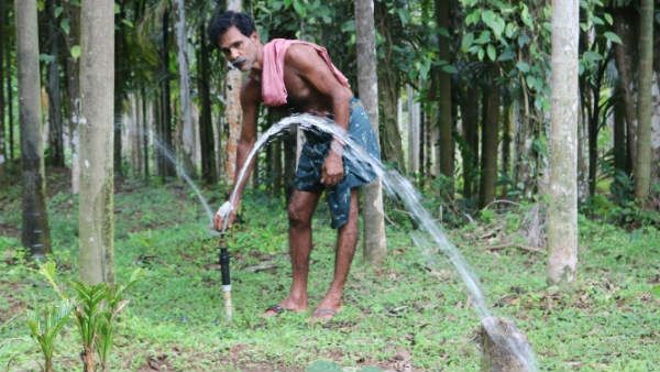 ಬೋರ್ ವೆಲ್ ನಲ್ಲಿ ಉಕ್ಕಿದ ಜಲ: ಪೂಜೆಯ ಪವಾಡ?