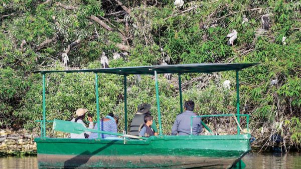 ರಂಗನತಿಟ್ಟಿನಲ್ಲಿ ಪಕ್ಷಿಗಣತಿ: ಒಂದೇ ದಿನ 60 ಜಾತಿ ಹಕ್ಕಿಗಳು ಪತ್ತೆ