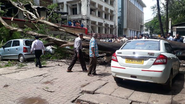 ಮಣಿಪಾಲದ ಕೆಎಂಸಿ ಆವರಣದಲ್ಲಿ ಉರುಳಿದ ಮರ; ತಪ್ಪಿದ ಭಾರೀ ಅನಾಹುತ