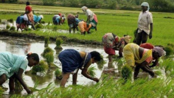 ರೈತರಿಗೆ ನೆಮ್ಮದಿ ನೀಡಿದ ಬಿಎಸ್‌ವೈ: ಬೆಳೆ ವಿಮೆ ನೋಂದಣಿ ಅವಧಿ ವಿಸ್ತರಣೆ