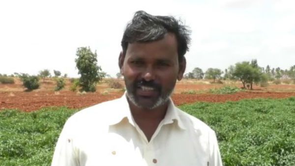 ದಾವಣಗೆರೆಯ ಈ ರೈತನಿಗೆ ಸಿಹಿಯಾಯಿತು 