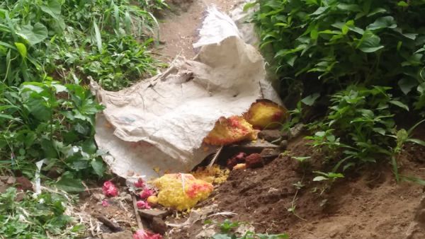 ಅರಕಲಗೂಡಿನ ಅಂಗನವಾಡಿ ಬಳಿ ವಾಮಾಚಾರ; ಮಕ್ಕಳನ್ನು ಕಳಿಸಲು ಹಿಂದೇಟು