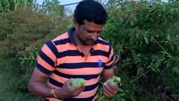 ಕಾರು ಚಲಿಸಿ ಜೀವ ಬಿಟ್ಟಿದ್ದ ಜೋಡಿ ಗಿಳಿಗಳಿಗೆ ಅಂತ್ಯ ಸಂಸ್ಕಾರ ಮಾಡಿದ ಪಕ್ಷಿಪ್ರೇಮಿ