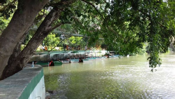 ಮಳೆಯ ಹಿನ್ನೆಲೆಯಲ್ಲಿ ರಂಗನತಿಟ್ಟು ಪಕ್ಷಿಧಾಮದ ಬೋಟಿಂಗ್ ಸ್ಥಗಿತ