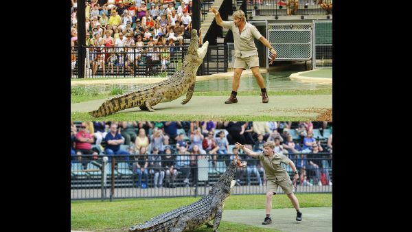 ಅದೇ ಜಾಗ, ಅದೇ ಮೊಸಳೆ: 15 ವರ್ಷದ ಬಳಿಕ ಸ್ಟೀವ್ ಇರ್ವಿನ್ ಮಗನ ಮರುಸೃಷ್ಟಿಯ ಸಾಹಸ