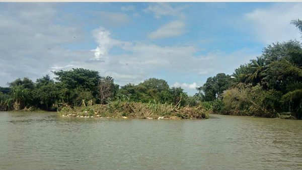 ಮಹಾಮಳೆಗೆ ಕೊಚ್ಚಿಹೋಗಿವೆ ರಂಗನತಿಟ್ಟಿನ ನಡುಗಡ್ಡೆಗಳು