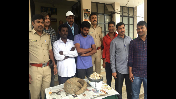 ಅಪರೂಪದ ಪ್ರಾಣಿಯನ್ನು ವಶ ಪಡಿಸಿಕೊಂಡ ಬೆಂ.ಉತ್ತರ ಪೊಲೀಸರು