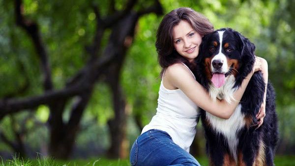 ವಿಶ್ವ ಶ್ವಾನ ದಿನ: ಮನುಷ್ಯನ ಅತ್ಯಾಪ್ತ ಸ್ನೇಹಿತನೆಂದರೆ ನಾಯಿ