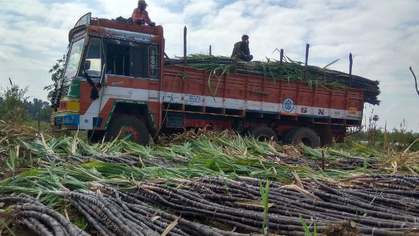 ಕಬ್ಬು ಬೆಳೆಗಾರರಿಗೆ ಸಿಹಿ ಸುದ್ದಿ ನೀಡಿದ ಕೇಂದ್ರ ಸರ್ಕಾರ