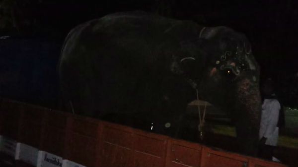 ಬೆಳ್ಳಂಬೆಳಿಗ್ಗೆ ಕೃಷ್ಣ ಮಠದ ಆನೆ ಸುಭದ್ರೆ ರವಾನೆ; ಕಾರಣಗಳ ಸುತ್ತ!