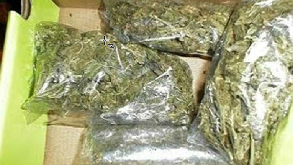 ಆನೆಕಲ್‌ನಲ್ಲಿ ಭರ್ಜರಿ ಭೇಟೆ: ಒಂದು ಸಾವಿರ ಕೆ.ಜಿ ಗಾಂಜಾ ವಶ