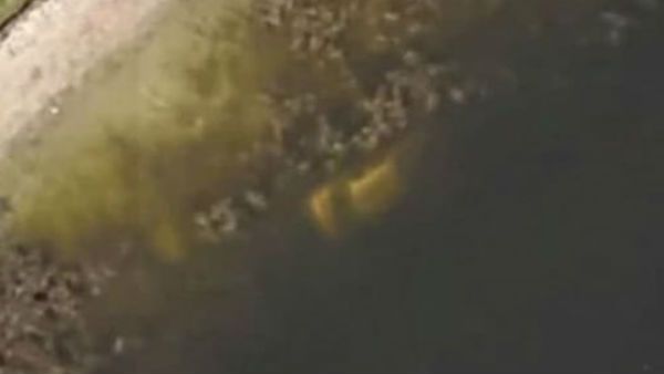 22 ವರ್ಷದ ಹಿಂದೆ ಕಾಣೆಯಾಗಿದ್ದ ವ್ಯಕ್ತಿಯ ಶವ ಹುಡುಕಿದ Google Maps!