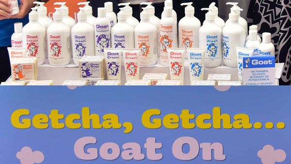 ಭಾರತದ ಮಾರುಕಟ್ಟೆ ಪ್ರವೇಶಿಸಿದ ಮೆಲ್ಬೋರ್ನ್‍ನ ಗೋಟ್‌ ಮಿಲ್ಕ್‌ ಸೋಪ್