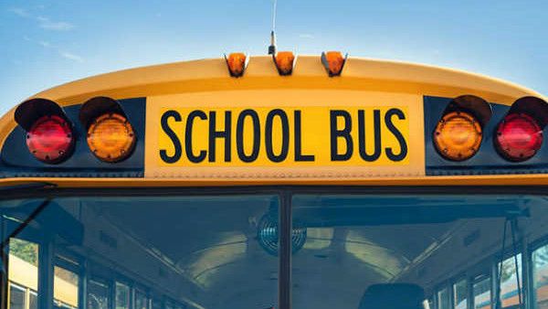 ಗಾಳಿ ಇಲ್ಲ ಮಳೆ ಇಲ್ಲ, ನೋಡುತ್ತಿದ್ದಂತೆ ಶಾಲಾ ಬಸ್‌ ಮೇಲೆ ಉರುಳಿದ ಮರ