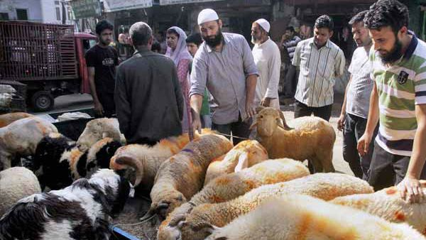 ಮನೆ ಬಾಗಿಲಿಗೆ ಬರಲಿದೆ ಮೇಕೆ, ಕುರಿ ಮಾಂಸ, ಬೆಲೆಯೂ ಕಡಿಮೆ