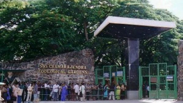 ದಸರಾದಲ್ಲಿ ಈ ಬಾರಿ ಮೈಸೂರು ಮೃಗಾಲಯಕ್ಕೆ ಬಂದ ಆದಾಯವೆಷ್ಟು?