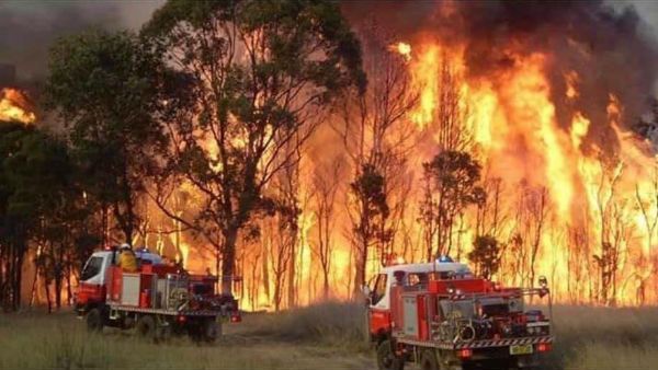 ಭೀಕರ ಕಾಳ್ಗಿಚ್ಚಿಗೆ ಲಕ್ಷಾಂತರ ಹೆಕ್ಟೇರ್ ಅರಣ್ಯ ಭಸ್ಮ