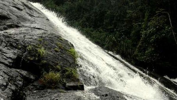 ಹಿಂಗಾರು ಮಳೆಗೆ ಹಿಗ್ಗಿ ಹರಿವ 'ಕಲ್ಯಾಳ’ ಜಲಧಾರೆ