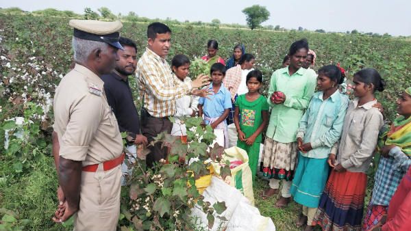 ಹತ್ತಿ ಬಿಡಿಸುತ್ತಿದ್ದವರನ್ನು ಶಾಲೆ ಮೆಟ್ಟಿಲು ಹತ್ತಿಸಿದ ಅಧಿಕಾರಿಗಳು!