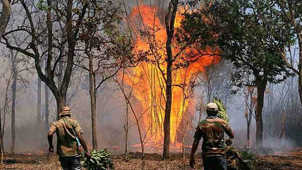 ಬಂಡೀಪುರ ಅರಣ್ಯದ ಕಾಡ್ಗಿಚ್ಚಿನ ಮೇಲೆ 'ಡ್ರೋನ್' ಕಣ್ಣು!