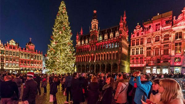 ಮಿರಿಮಿರಿ ಮಿಂಚು, ಝಗಮಗಿಸುವ ಈ ಗಿಡಕ್ಕೆ 107 ಕೋಟಿ ರೂಪಾಯಿ!