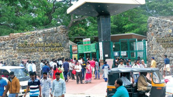 ಪ್ಲಾಸ್ಟಿಕ್‌ ನಿರ್ಮೂಲನೆಗೆ ಮೈಸೂರು ಮೃಗಾಲಯ ವಿನೂತನ ಉಪಾಯ