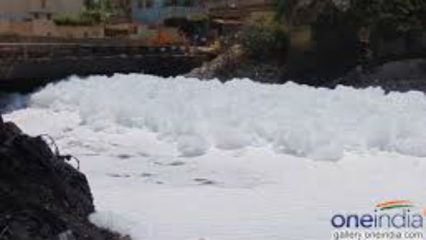 ಬೆಳ್ಳಂದೂರು ಪ್ರಕರಣ: ಕರ್ನಾಟಕ, ತಮಿಳುನಾಡಿಗೆ ನೋಟಿಸ್