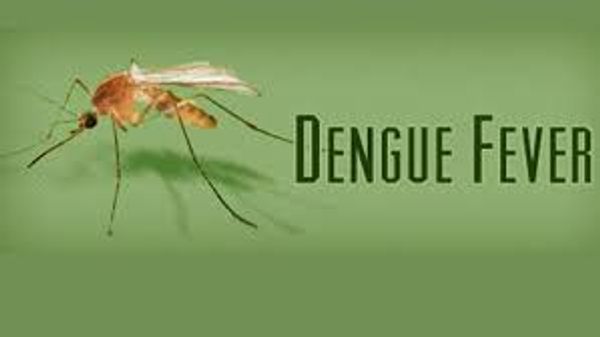 ಡೆಂಗ್ಯೂ ಜ್ವರ ಬಾರದಂತೆ ಎಚ್ಚರ ವಹಿಸಲು ಕ್ರಮಗಳು