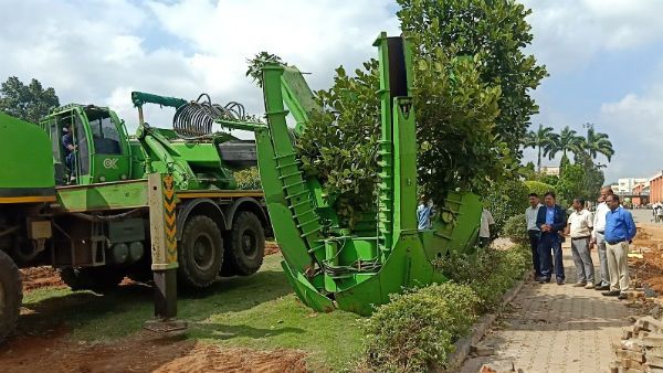 ನಿರ್ಮಲಾನಂದರ ಪರಿಸರ ಪ್ರೇಮ; ಆದಿಚುಂಚನಗಿರಿಯಲ್ಲಿ 250 ಮರಗಳ ಸ್ಥಳಾಂತರ