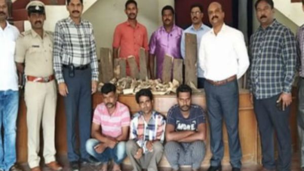 ಮೈಸೂರಿನಲ್ಲಿ ಶ್ರೀಗಂಧ ಮರ ಕಳ್ಳರನ್ನು ಬಂಧಿಸಿದ ಪೊಲೀಸರು