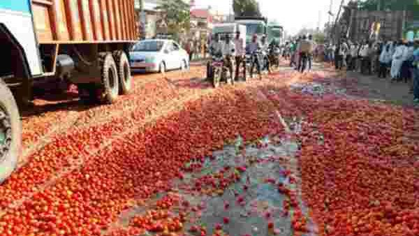 2 ರುಪಾಯಿಗೆ ಒಂದು ಬುಟ್ಟಿ ಟೊಮೆಟೋ, ನೊಂದ ರೈತ ಮಾಡಿದ್ದೇನು?