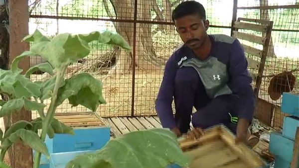 ಕೋಲಾರದ ಈ ಸ್ವಾವಲಂಬಿ ಕೃಷಿಕನಿಗೆ ಬಲ ಕೊಟ್ಟ ಜೇನು ಸಾಕಣೆ
