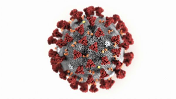 ಚೀನಾದಿಂದ ಬಂದವನಿಗೆ ಅನಾರೋಗ್ಯ: ತುಮಕೂರಿನಲ್ಲಿ ಕೊರೊನಾ ಭೀತಿ