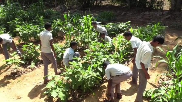 ಕೋಟದ ಈ ಕಾಲೇಜಲ್ಲಿ ಪಠ್ಯದ ಜೊತೆ ಕೃಷಿ ಪಾಠವೂ ನಡೆಯುತ್ತೆ!